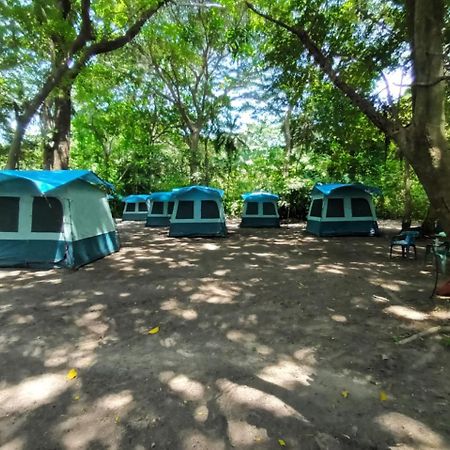 Happy Camping Arrecifes Dentro Del Parque Nacional Natural Tayrona El Coquito Екстериор снимка
