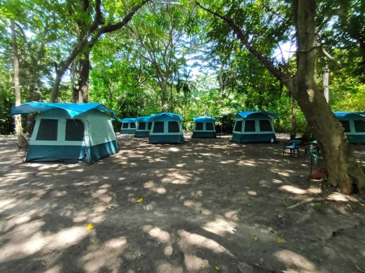 Happy Camping Arrecifes Dentro Del Parque Nacional Natural Tayrona El Coquito Екстериор снимка